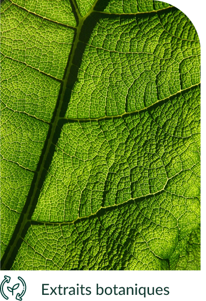 ExtraitsBotaniquesNatural.png
