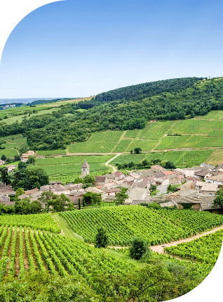 NaturalByBarentzfrvacance-france-vallee-de-la-loire