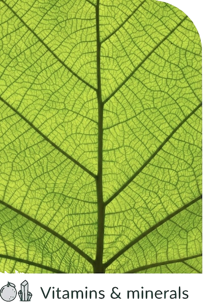 VitaminesMinerauxNatural.png